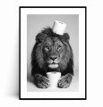 Plakat ZABAWNY LEW Z PAPIEREM TOALETOWYM z marginesem.jpg