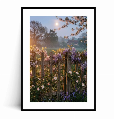 Plakat SIELSKI PEJZAŻ Z CHATKĄ - WISTERIA I RÓŻE z marginesem