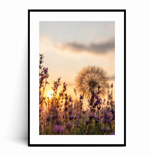 Plakat ULOTNA CHWILA - DMUCHAWIEC I LAWENDA O ZACHODZIE SŁOŃCA no.1 z marginesem