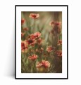Plakat WSPOMNIENIE LATA – POLNE KWIATY W STYLU VINTAGE z marginesem