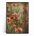 Plakat WSPOMNIENIE LATA – POLNE KWIATY W STYLU VINTAGE