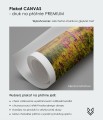 Plakat na płótnie canvas premium Fox Art Studio - struktura płótna obraz galeryjny matowe wykończenie bez odblasków