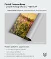 Plakat na papierze fotograficznym satynowym Fox Art Studio - porównanie materiałów wybór papieru premium do ramy.jpg