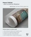 Plakat na płótnie canvas premium Fox Art Studio - struktura płótna obraz galeryjny matowe wykończenie bez odblasków.jpg