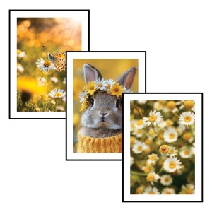 Komplet 3 plakatów SŁONECZNA WIOSNA