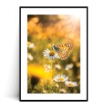 Plakat ZŁOTY MOTYL NA STOKROTCE - SIELSKI OGRÓD z marginesem.tif.jpg
