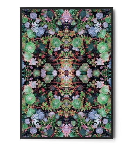 Plakat BOTANICAL ART no.16