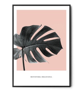 Plakat MONSTERA DELICIOSA