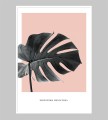 Plakat MONSTERA DELICIOSA