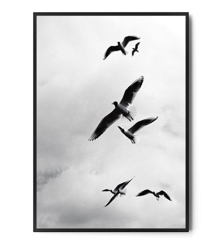 Plakat PTAKI