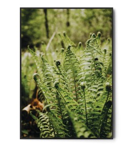 Plakat PAPROCIE no.1