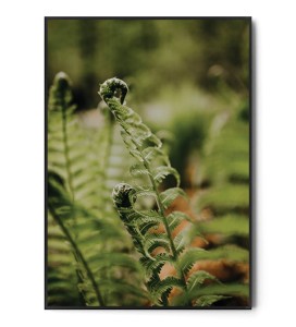 Plakat PAPROCIE no.3