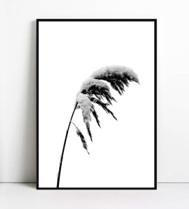 Plakat WINTER GRASS