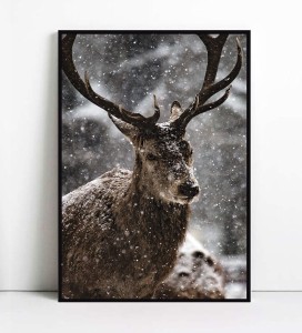 Plakat JELONEK W ŚNIEGU
